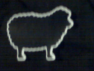 sheep.jpg